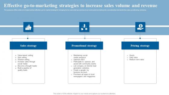 Effective Go To Marketing Strategies Elderly Care Business Plan Go To Market Strategy Inspiration Pdf