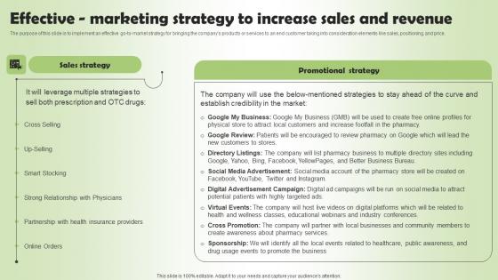 Effective Marketing Strategy Increase Pharmacy Business Plan Go To Market Strategy Rules Pdf