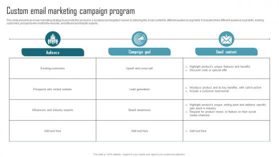 Effective Product Adaptation Custom Email Marketing Campaign Program Elements PDF