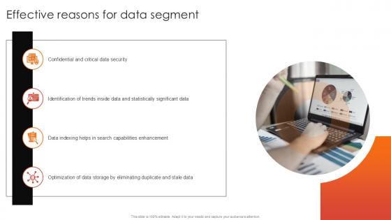 Effective Reasons For Data Segment PPT Example SS