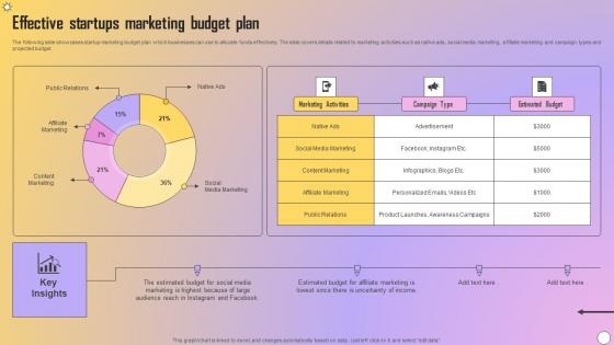 Effective Startups Marketing Budget Plan Introduction Pdf