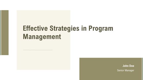 Effective Strategies In Program Management PPT Graphics AT