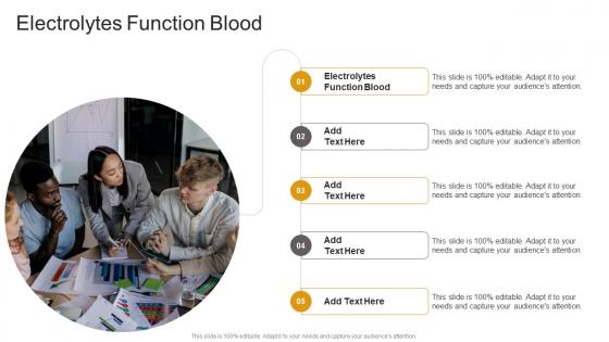Electrolytes Function Blood In Powerpoint And Google Slides Cpb Electrolytes Function Blood In Powerpoint And Google Slides Cpb
