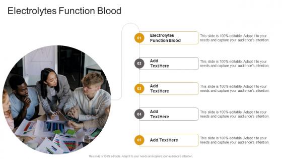 Electrolytes Function Blood In Powerpoint And Google Slides Cpb