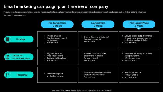 Email Marketing Campaign Plan Timeline Of Company Paid Marketing Approach Diagrams Pdf