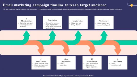 Email Marketing Campaign Timeline To Reach Strategies To Develop Successful Designs Pdf