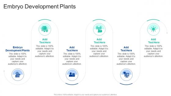 Embryo Development Plants In Powerpoint And Google Slides Cpb