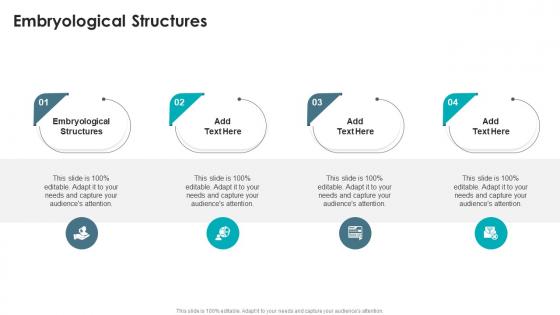 Embryological Structures In Powerpoint And Google Slides Cpb