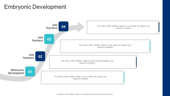 Embryonic Development In Powerpoint And Google Slides Cpb