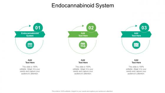 Endocannabinoid System In Powerpoint And Google Slides Cpb