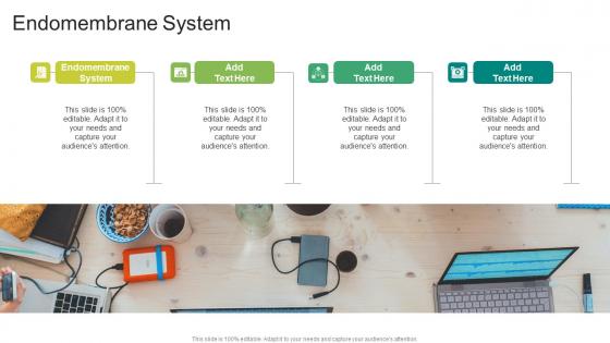 Endomembrane System In Powerpoint And Google Slides Cpb