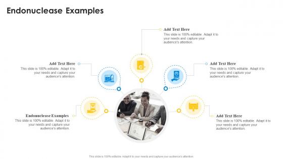 Endonuclease Examples In Powerpoint And Google Slides Cpb