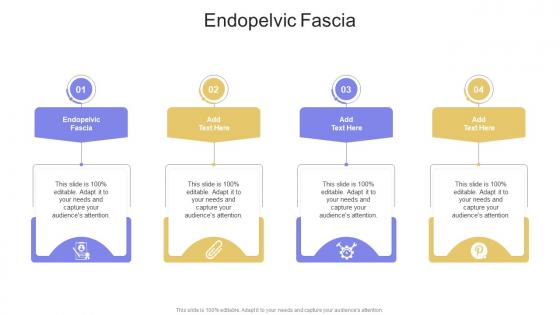 Endopelvic Fascia In Powerpoint And Google Slides Cpb