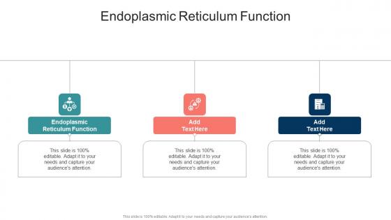 Endoplasmic Reticulum Function In Powerpoint And Google Slides Cpb