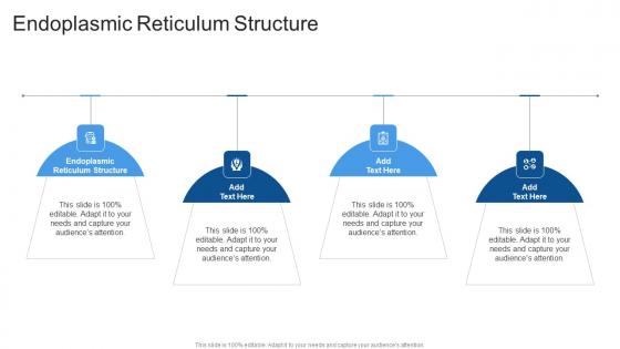 Endoplasmic Reticulum Structure In Powerpoint And Google Slides Cpb