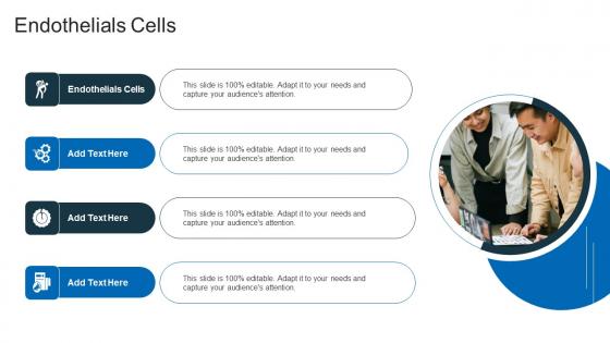 Endothelials Cells In Powerpoint And Google Slides Cpb