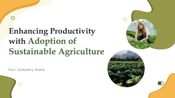 Enhancing Productivity With Adoption Of Sustainable Agriculture Ppt Sample