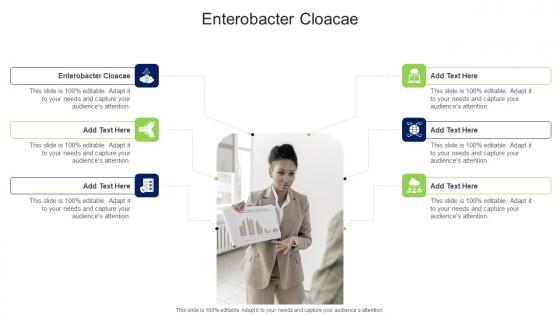 Enterobacter Cloacae In Powerpoint And Google Slides Cpb