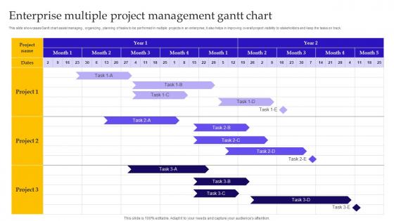 Enterprise Multiple Project Management Gantt Chart Elements Pdf