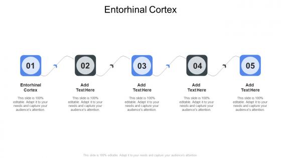 Entorhinal Cortex In Powerpoint And Google Slides Cpb