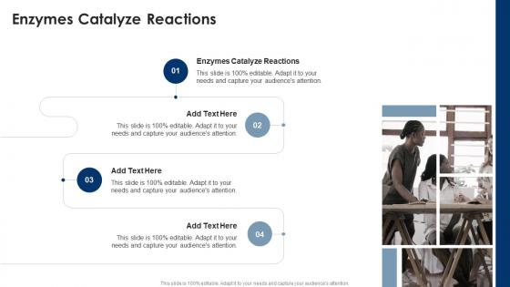 Enzymes Catalyze Reactions In Powerpoint And Google Slides Cpb