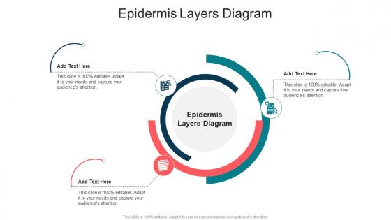 Epidermis Layers Diagram In Powerpoint And Google Slides Cpb