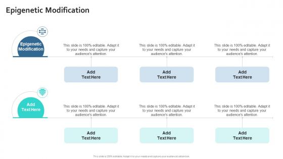 Epigenetic Modification In Powerpoint And Google Slides Cpb