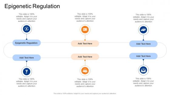 Epigenetic Regulation In Powerpoint And Google Slides Cpb