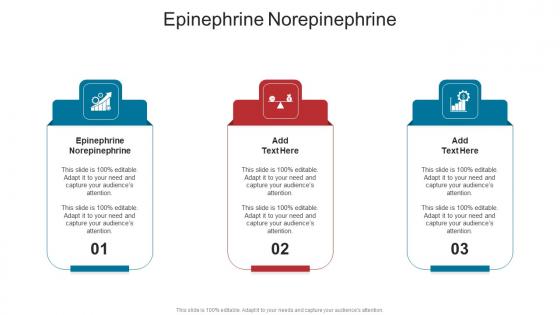 Epinephrine Norepinephrine In Powerpoint And Google Slides Cpb