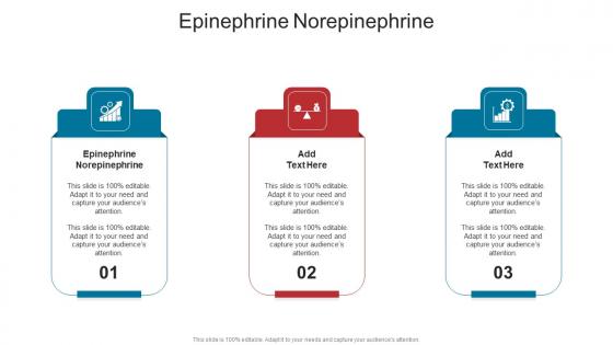 Epinephrine Norepinephrine In Powerpoint And Google Slides Cpb Epinephrine Norepinephrine In Powerpoint And Google Slides Cpb