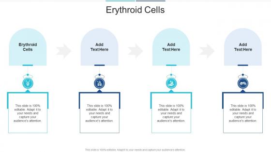 Erythroid Cells In Powerpoint And Google Slides Cpb