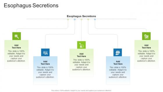 Esophagus Secretions In Powerpoint And Google Slides Cpb