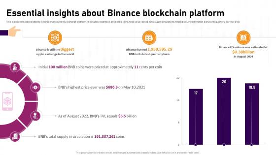 Essential Insights About Binance Blockchain Platform Complete Roadmap To Blockchain BCT SS V