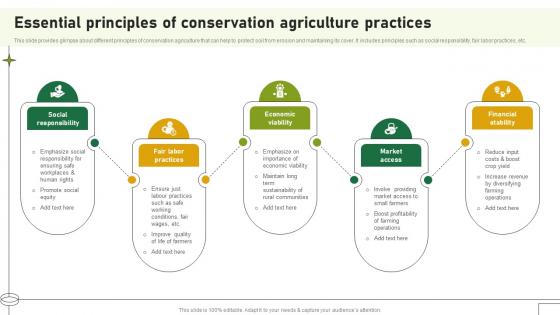 Essential Principles Of Conservation Agriculture Practices Adopting Sustainable Farming Techniques Essential Principles Of Conservation Agriculture Practices Adopting Sustainable Farming Techniques