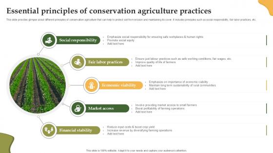 Essential Principles Of Conservation Enhancing Productivity With Adoption PPT Slide