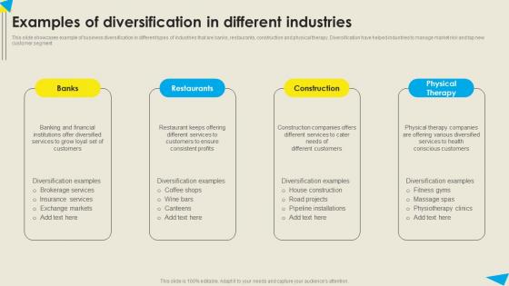 Examples Of Diversification In Different Industries Strategic Diversification Plan Sample PDF