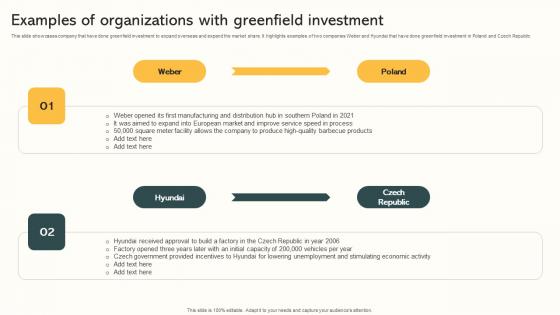 Examples Of Organizations With Greenfield Investment Market Expansion Through Guidelines Pdf