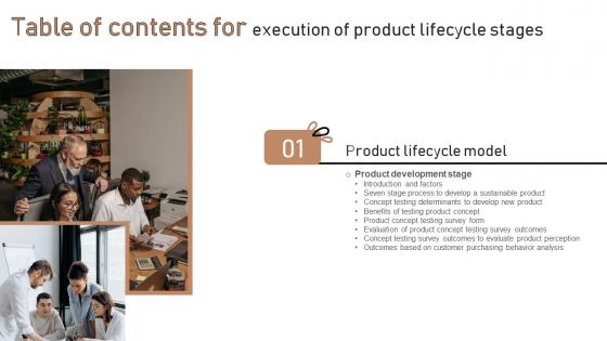 Execution Of Product Lifecycle Stages Table Of Contents Structure Pdf