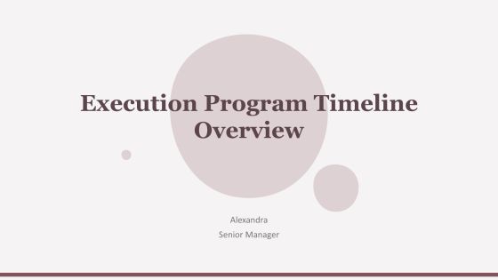 Execution Program Timeline Overview PPT Sample AT