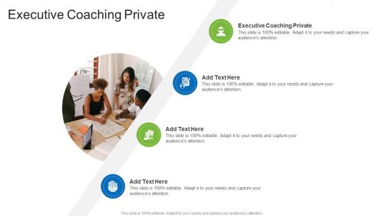 Executive Coaching Private In Powerpoint And Google Slides Cpb