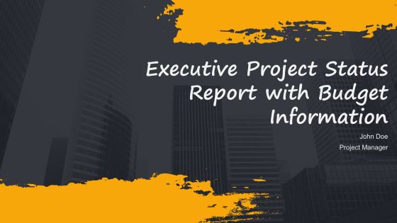 Executive Project Status Report With Budget Information PPT Template AT