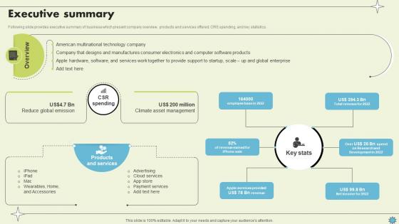 Executive Summary Consumer Electronics Company Profile CP SS V