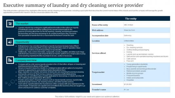 Executive Summary Of Laundry And Dry Cleaning Laundromat Business Plan Go To Market Introduction Pdf