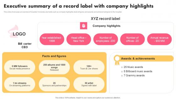 Executive Summary Record Label Music Industry Marketing Plan To Enhance Brand Image Elements Pdf