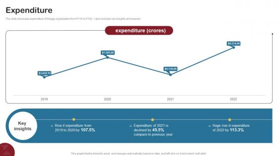 Expenditure Food Delivery Company Profile CP SS V