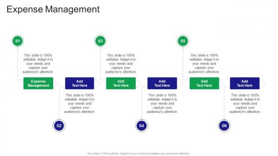 Expense Management In Powerpoint And Google Slides Cpb