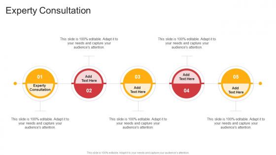 Experty Consultation In Powerpoint And Google Slides Cpb