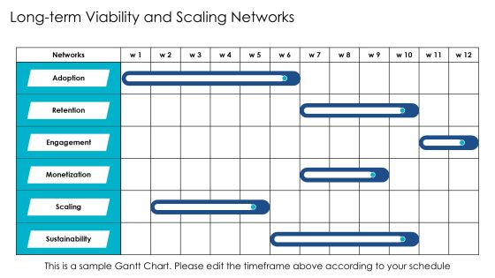Exploring The Dynamics Of Network Effect Development PPT Structure AT Slide18