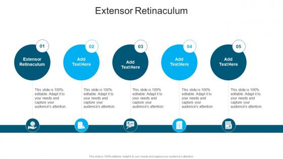 Extensor Retinaculum In Powerpoint And Google Slides Cpb