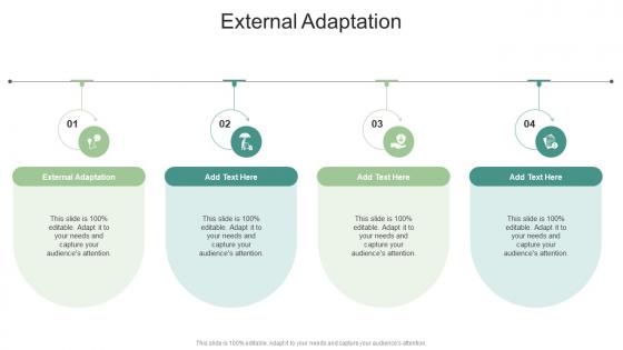 External Adaptation In Powerpoint And Google Slides Cpb External Adaptation In Powerpoint And Google Slides Cpb